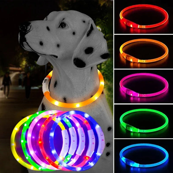 LED Pet Dog Collar