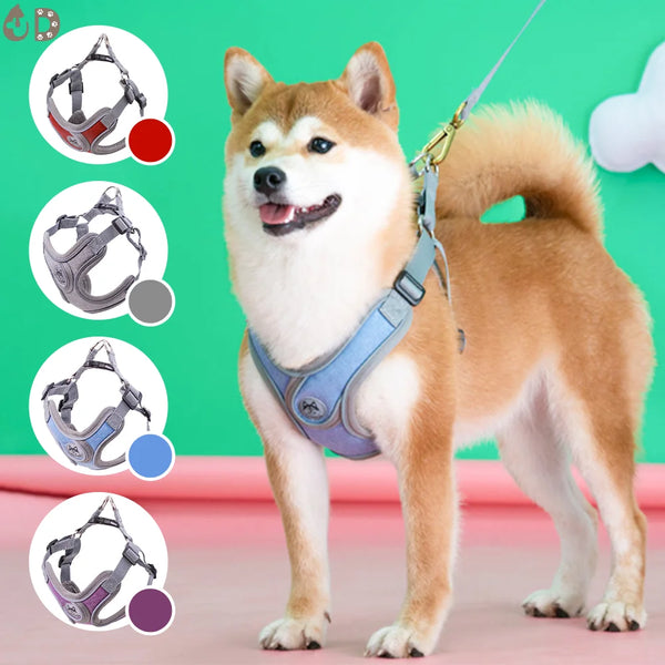 large step in dog harness | Widgetbud