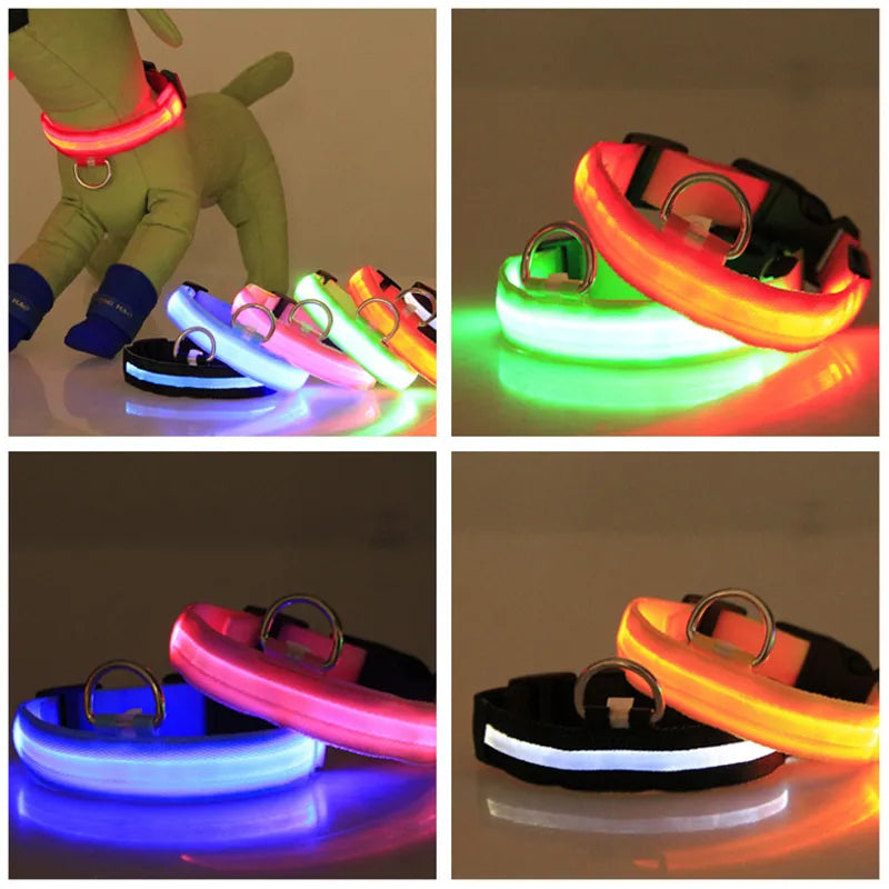 led lighted dog collar  | Widgetbud