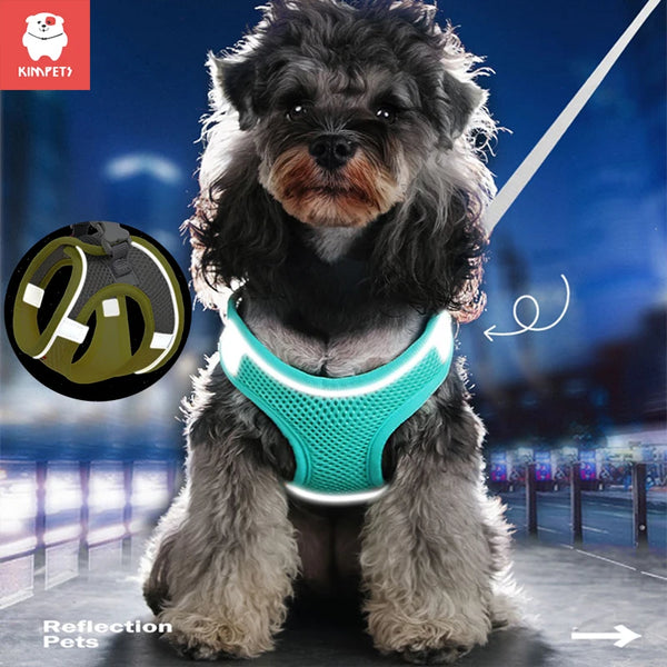 most comfortable dog harness | Widgetbud