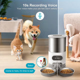 feed and go smart pet feeder | Widgetbud