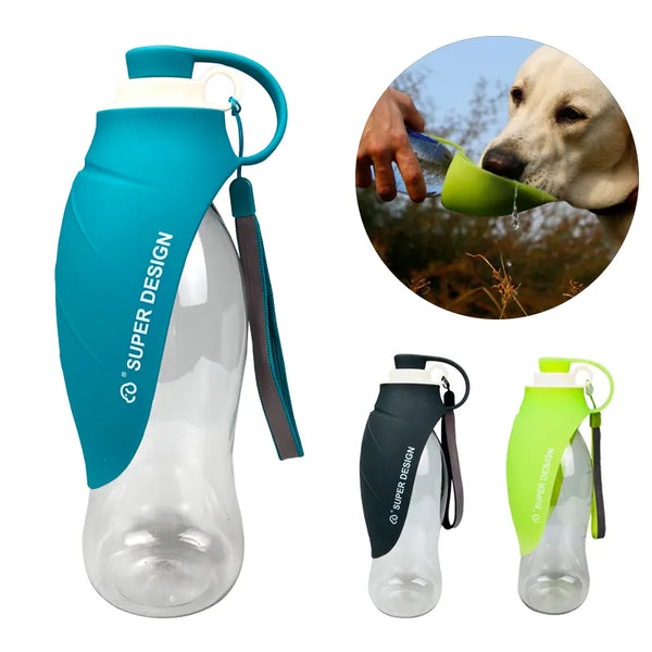 best bottled water for dogs