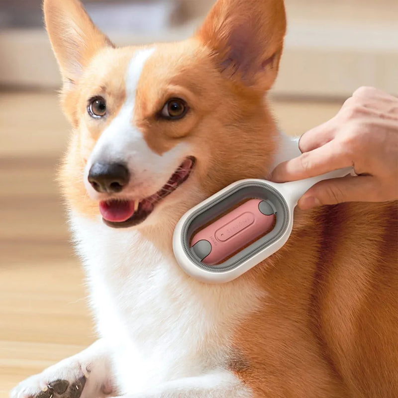 pet grooming brushes | widgetbud