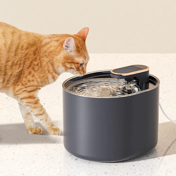 filters for cat water fountain